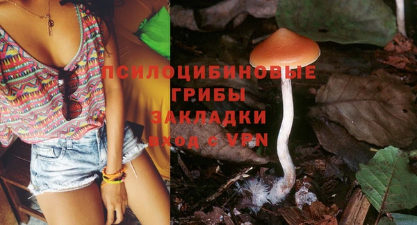 тгк Абдулино