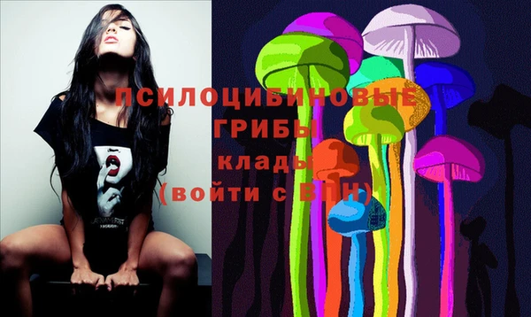 spice Абаза