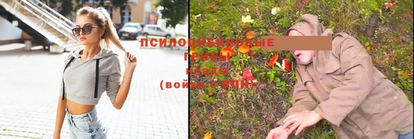 spice Абаза