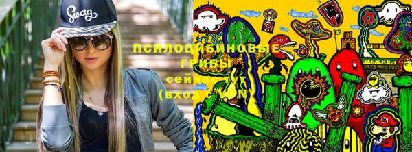 тгк Абдулино
