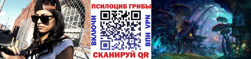 Галлюциногенные грибы мицелий  omg ONION  Уржум 